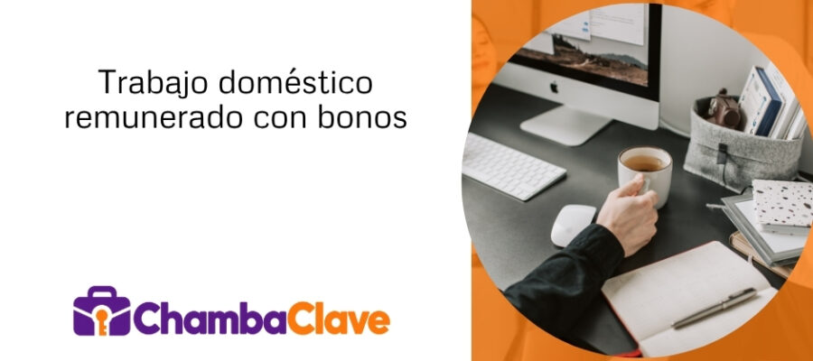 Ampliación de las Actividades Domésticas Remuneradas con Bonos de Valor