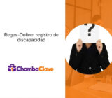 Reges-Online: Obligaciones sobre el registro del grado de discapacidad